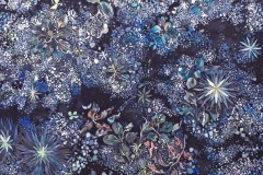 野草奇譚（2019）455×530mm silk, acid dye