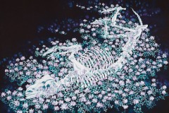 花隠れ『猪』（2016）800×1000mm cotton, reactive dye